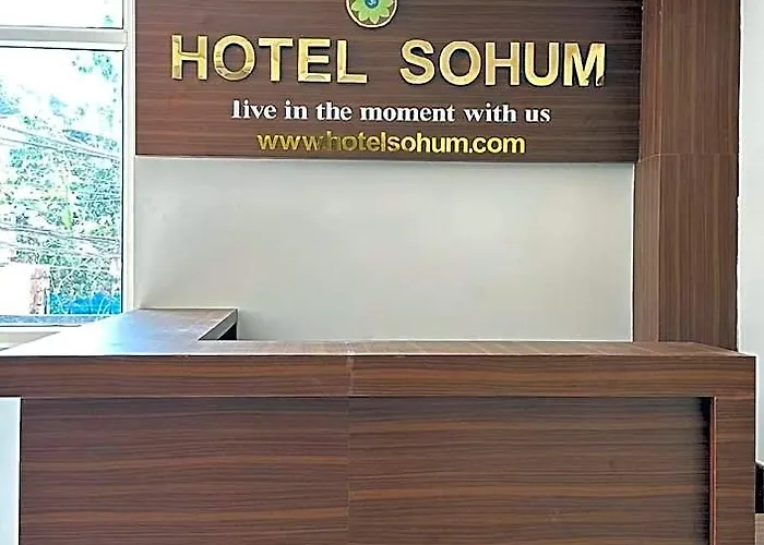 Sohum 2*